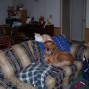 Meet your Posher, Ryan